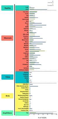 A Matter of Taste: Lineage-Specific Loss of Function of Taste Receptor Genes in Vertebrates